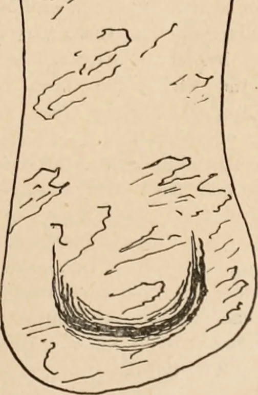 An illustration from The American archaeologist [serial], 1898, leaf 18