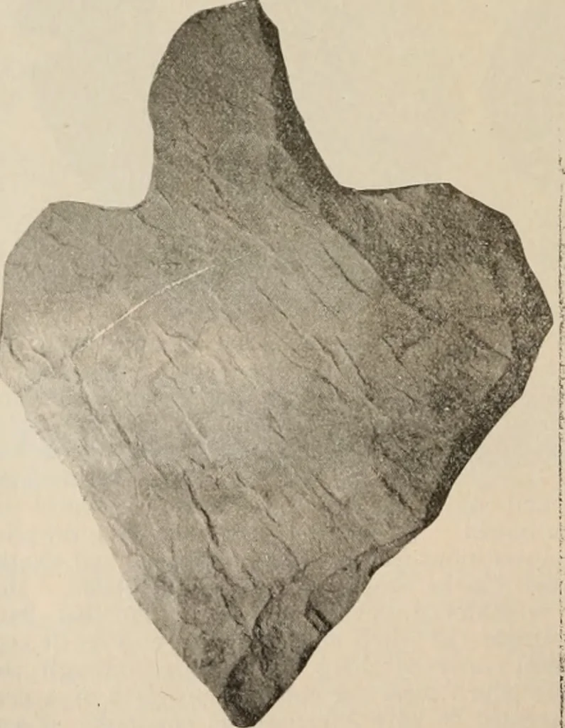 An illustration from The American archaeologist [serial], 1898, leaf 213