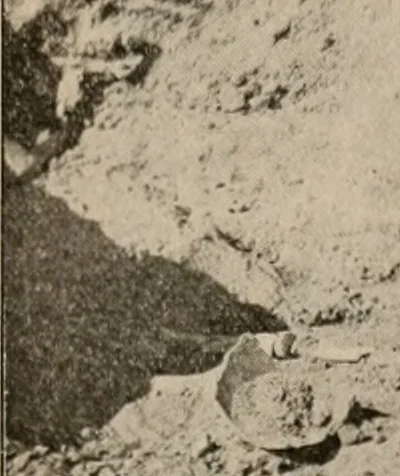 An illustration from The American archaeologist [serial], 1898, leaf 216