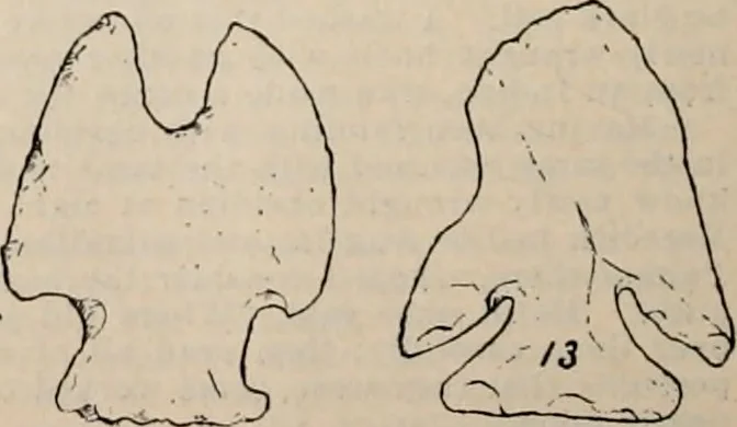 An illustration from The American archaeologist [serial], 1898, leaf 249