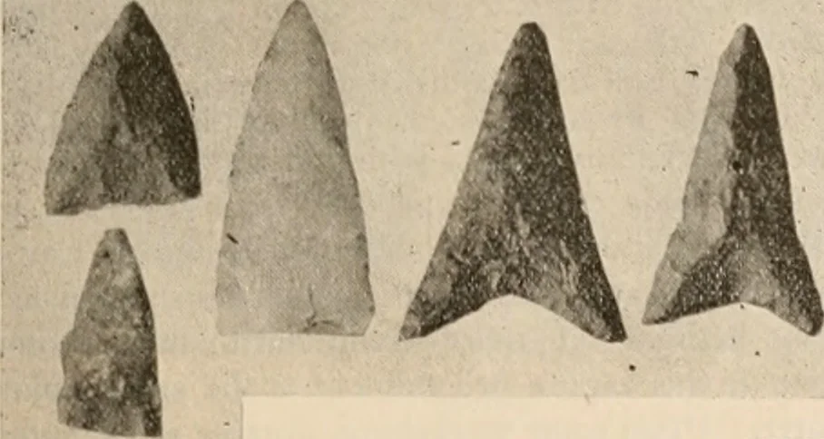 An illustration from The American archaeologist [serial], 1898, leaf 270
