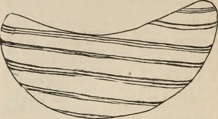 An illustration from The American archaeologist [serial], 1898, leaf 281
