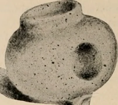 An illustration from The American archaeologist [serial], 1898, leaf 307