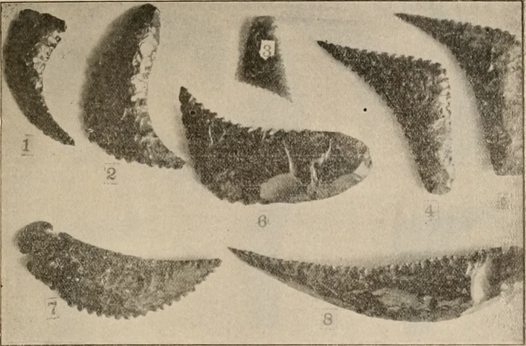 An illustration from The American archaeologist [serial], 1898, leaf 330