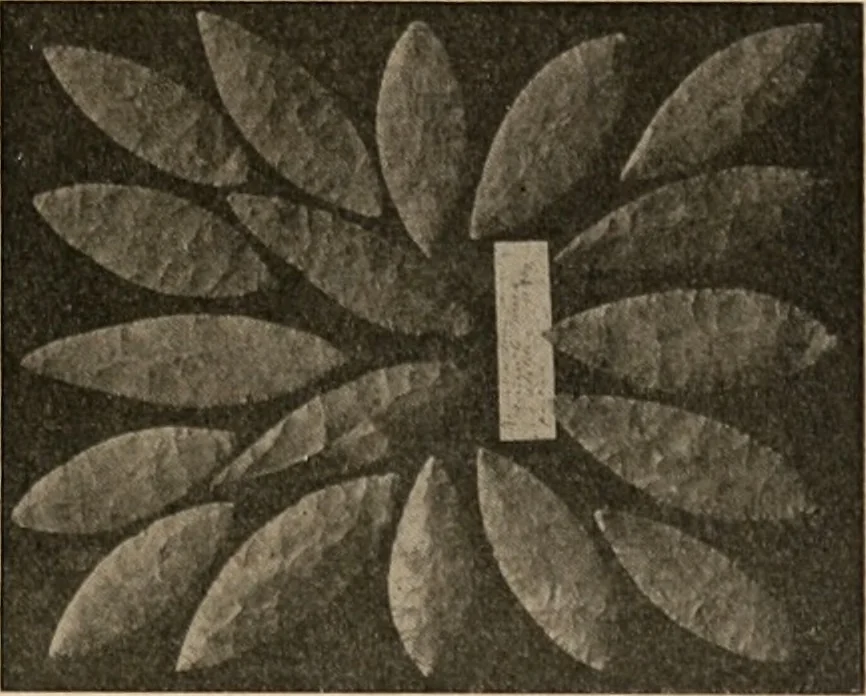 An illustration from The American archaeologist [serial], 1898, leaf 86