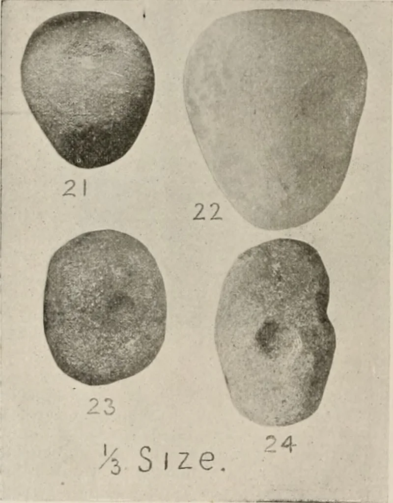 An illustration from The American archaeologist [serial], 1898, leaf 97