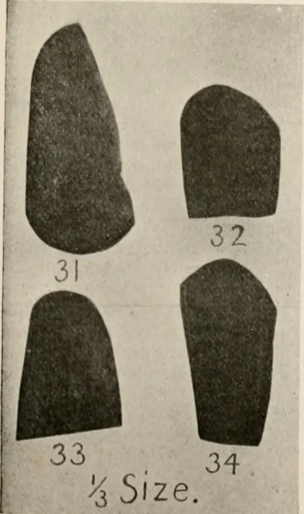 An illustration from The American archaeologist [serial], 1898, leaf 98