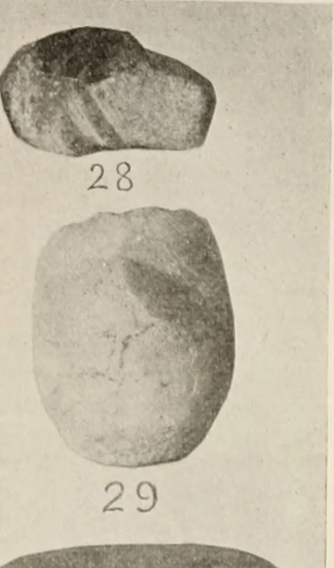 An illustration from The American archaeologist [serial], 1898, leaf 98