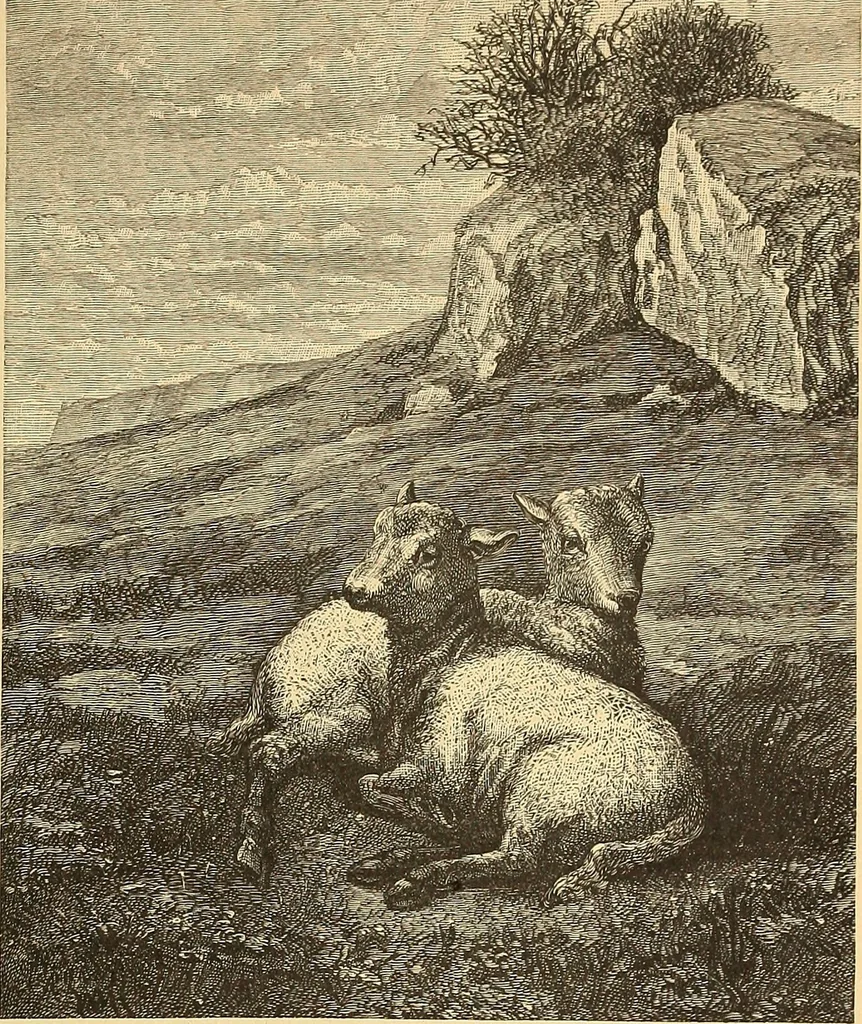 An illustration from American art and American art collections; essays on artistic subjects, 1889, leaf 114