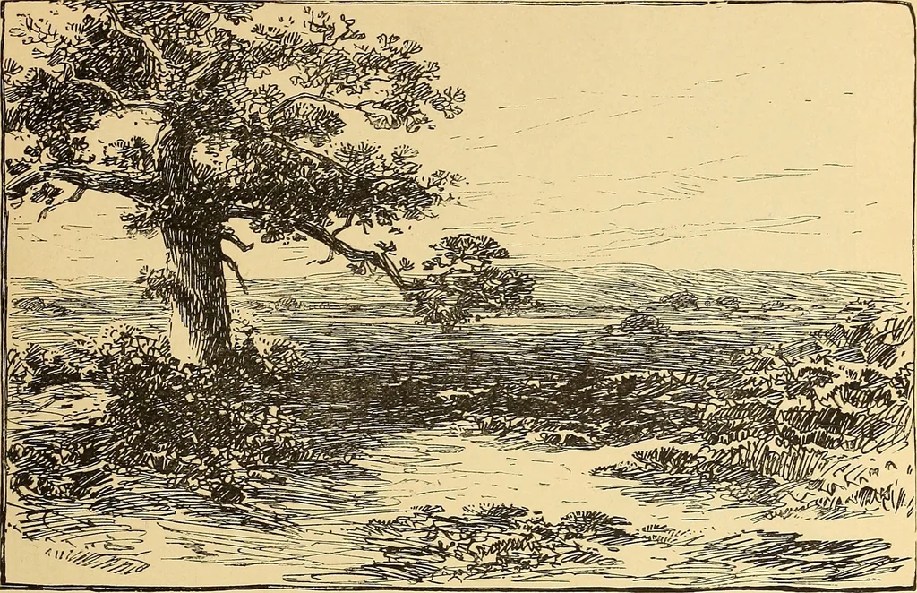 An illustration from American art and American art collections; essays on artistic subjects, 1889, leaf 150