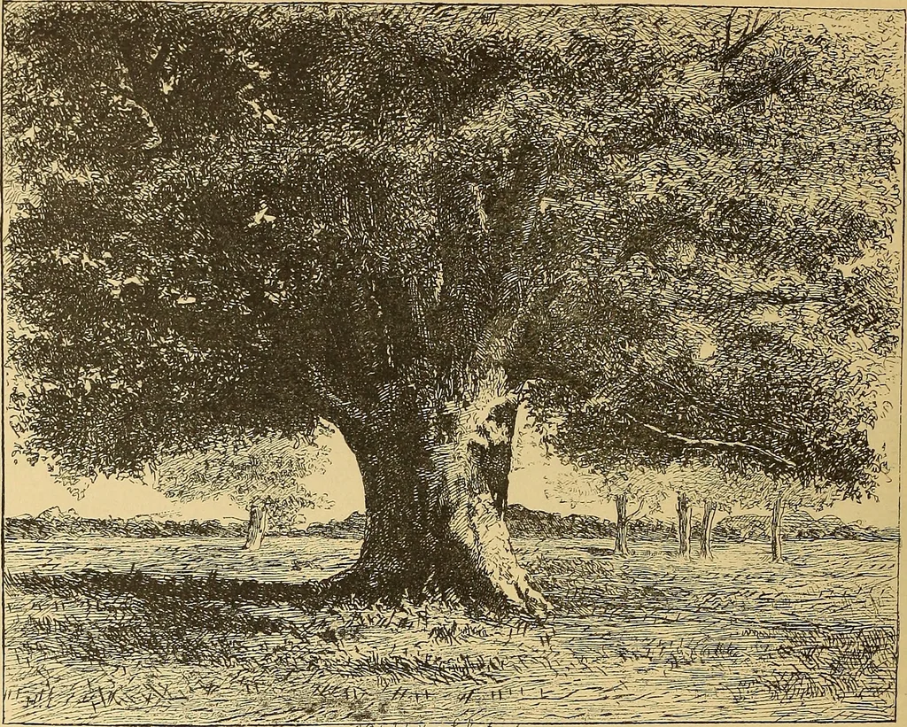 An illustration from American art and American art collections; essays on artistic subjects, 1889, leaf 151