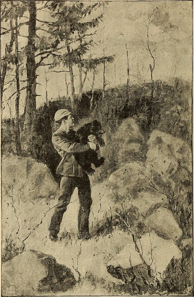 An illustration from American art and American art collections; essays on artistic subjects, 1889, leaf 169