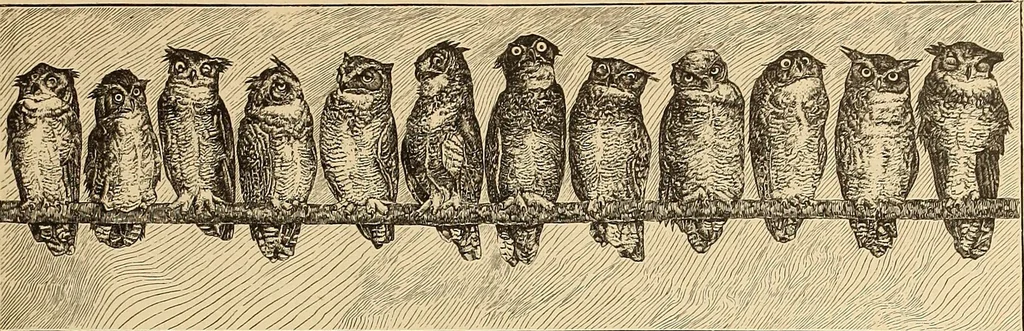 An illustration from American art and American art collections; essays on artistic subjects, 1889, leaf 182