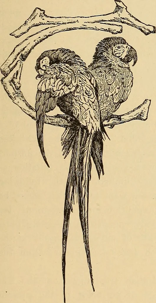 An illustration from American art and American art collections; essays on artistic subjects, 1889, leaf 182