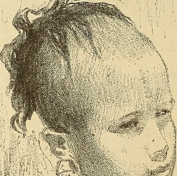 An illustration from American art and American art collections; essays on artistic subjects, 1889, leaf 233
