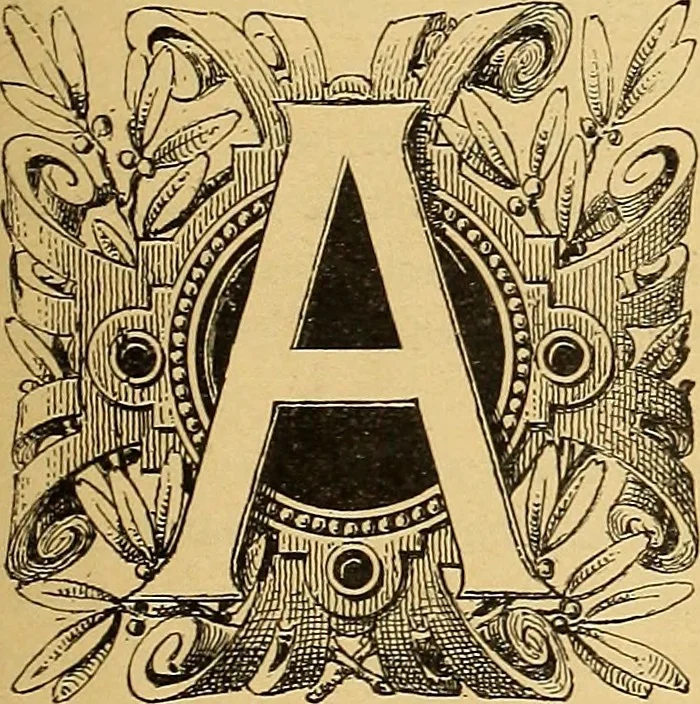 An illustration from American art and American art collections; essays on artistic subjects, 1889, leaf 24