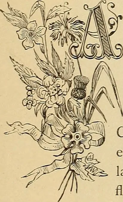 An illustration from American art and American art collections; essays on artistic subjects, 1889, leaf 242