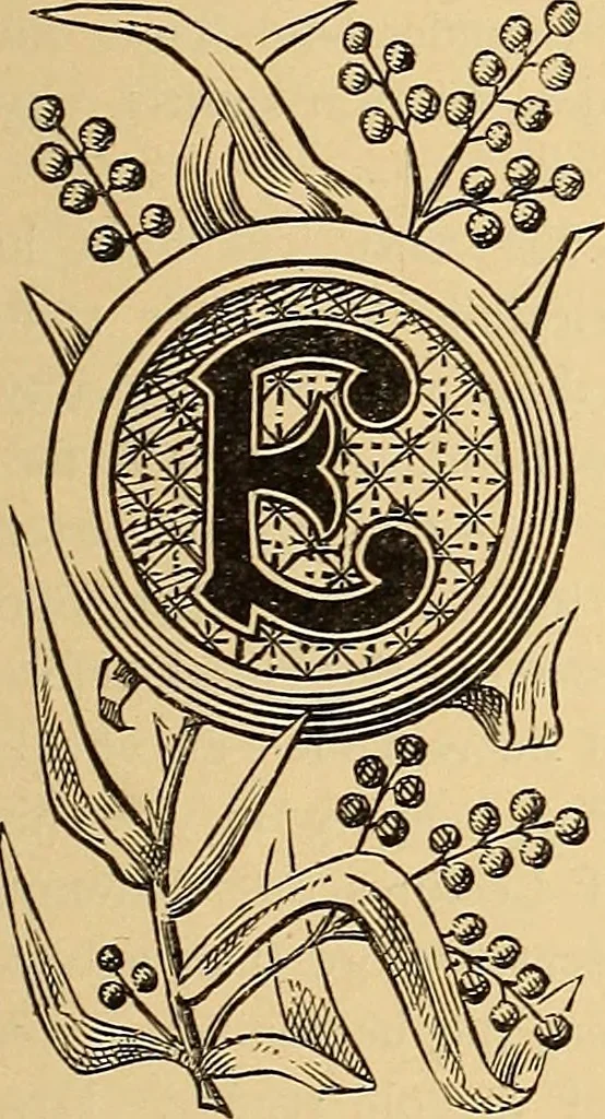 An illustration from American art and American art collections; essays on artistic subjects, 1889, leaf 292