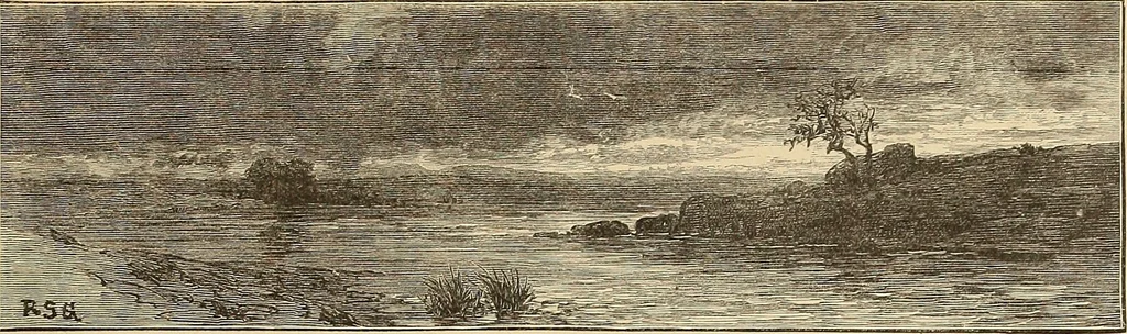 An illustration from American art and American art collections; essays on artistic subjects, 1889, leaf 304