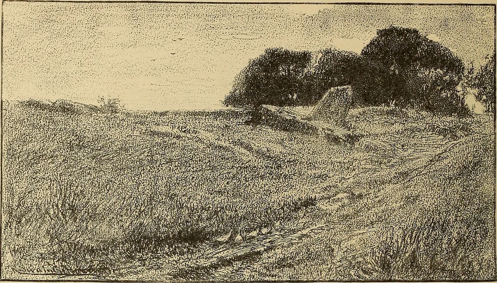 An illustration from American art and American art collections; essays on artistic subjects, 1889, leaf 307