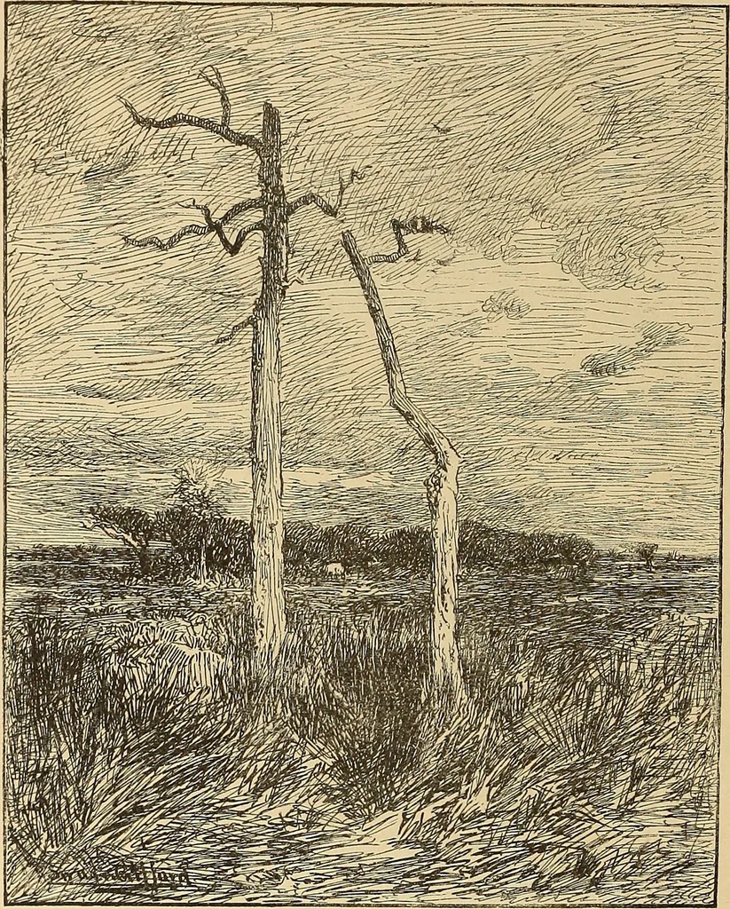 An illustration from American art and American art collections; essays on artistic subjects, 1889, leaf 311