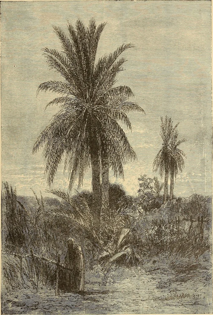 An illustration from American art and American art collections; essays on artistic subjects, 1889, leaf 312