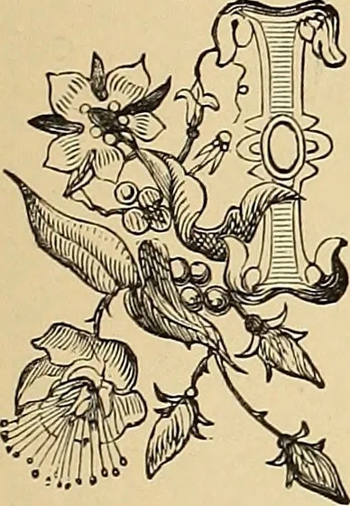 An illustration from American art and American art collections; essays on artistic subjects, 1889, leaf 314