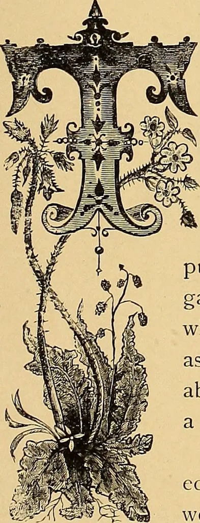 An illustration from American art and American art collections; essays on artistic subjects, 1889, leaf 324