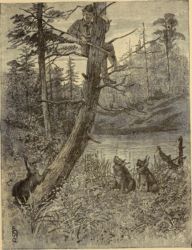 An illustration from American art and American art collections; essays on artistic subjects, 1889, leaf 332