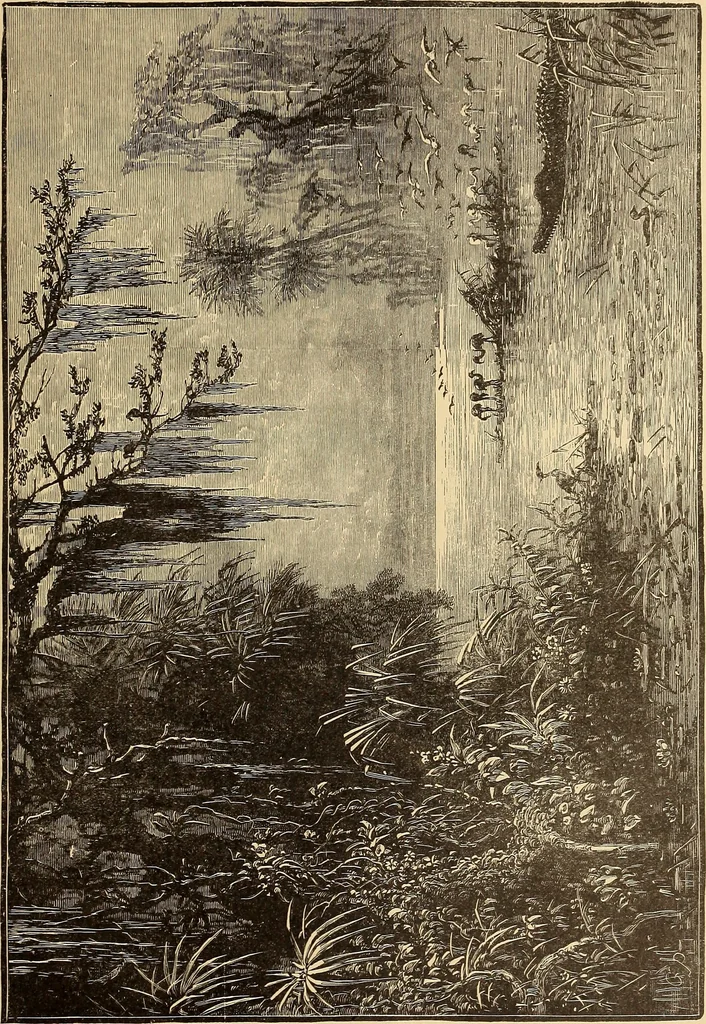 An illustration from American art and American art collections; essays on artistic subjects, 1889, leaf 368