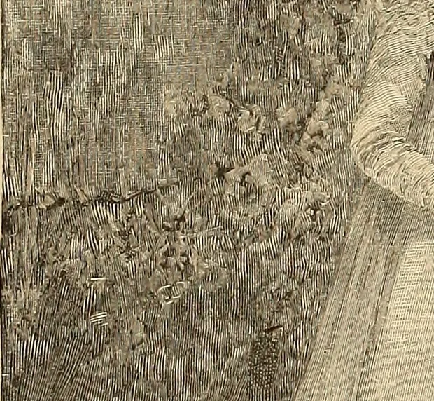 An illustration from American art and American art collections; essays on artistic subjects, 1889, leaf 386