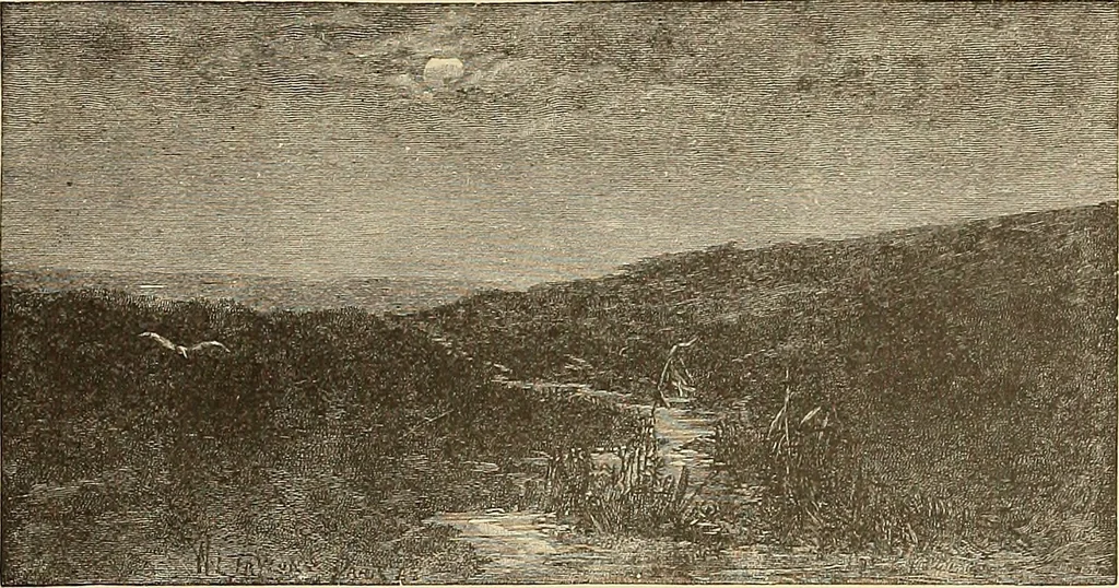An illustration from American art and American art collections; essays on artistic subjects, 1889, leaf 392
