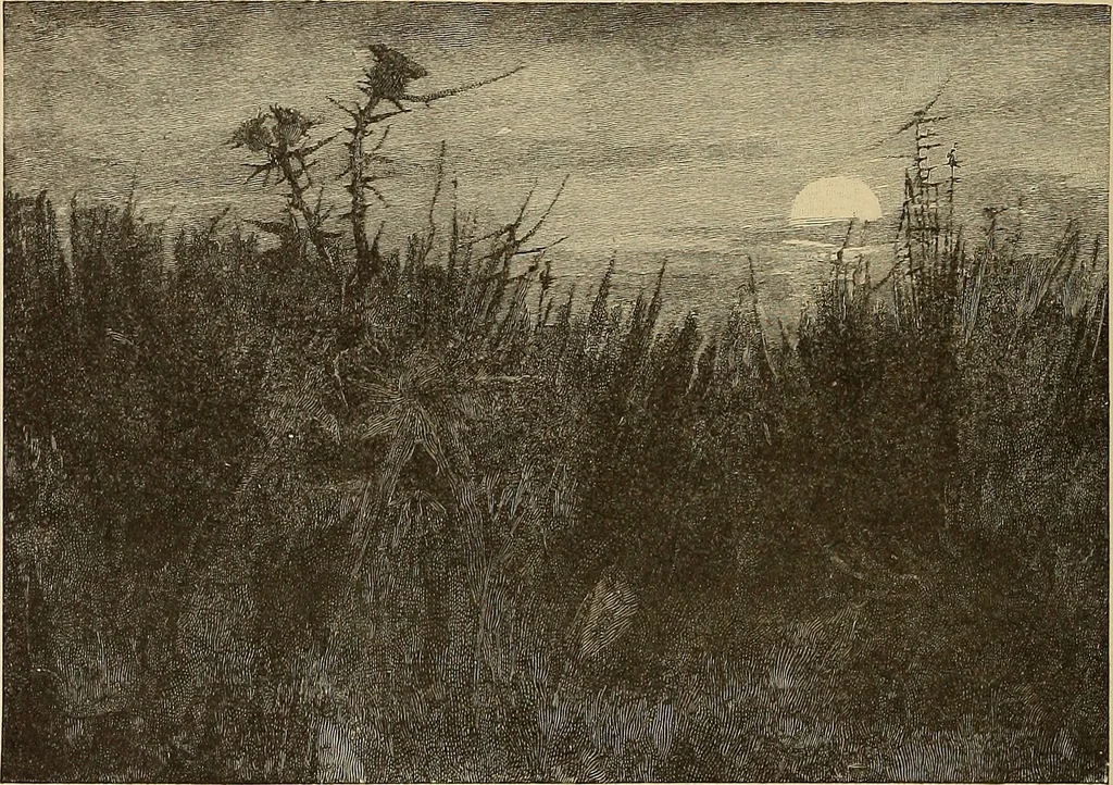An illustration from American art and American art collections; essays on artistic subjects, 1889, leaf 399