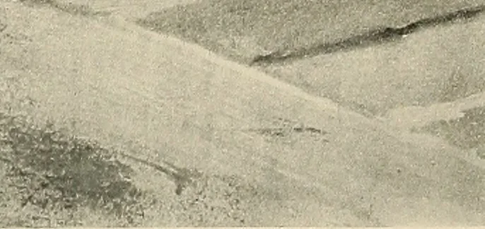 An illustration from American art and American art collections; essays on artistic subjects, 1889, leaf 415