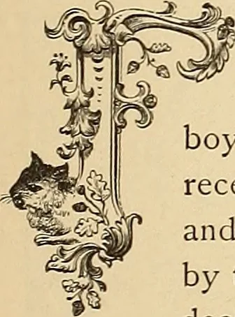 An illustration from American art and American art collections; essays on artistic subjects, 1889, leaf 484