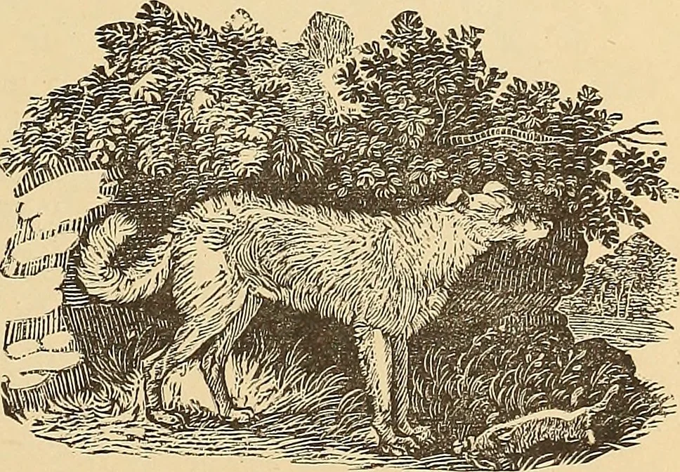 An illustration from American art and American art collections; essays on artistic subjects, 1889, leaf 510