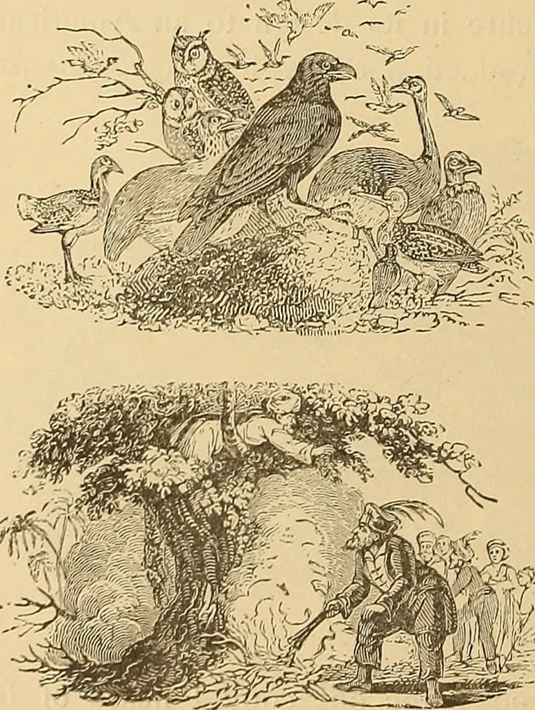 An illustration from American art and American art collections; essays on artistic subjects, 1889, leaf 511