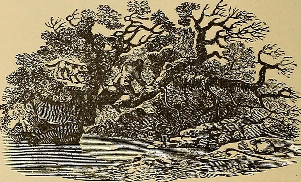 An illustration from American art and American art collections; essays on artistic subjects, 1889, leaf 517
