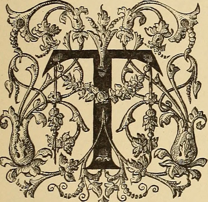 An illustration from American art and American art collections; essays on artistic subjects, 1889, leaf 522