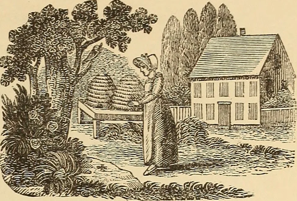An illustration from American art and American art collections; essays on artistic subjects, 1889, leaf 526