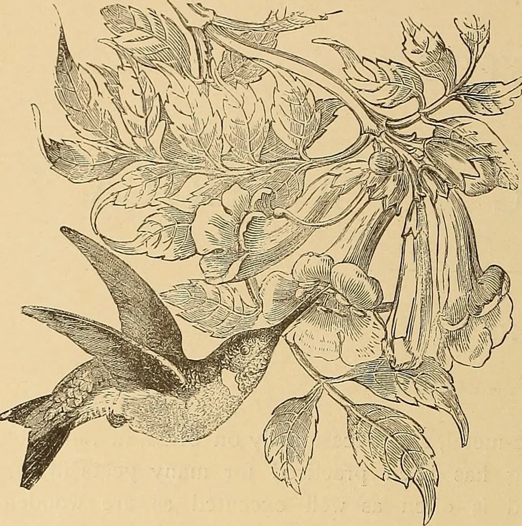 An illustration from American art and American art collections; essays on artistic subjects, 1889, leaf 543