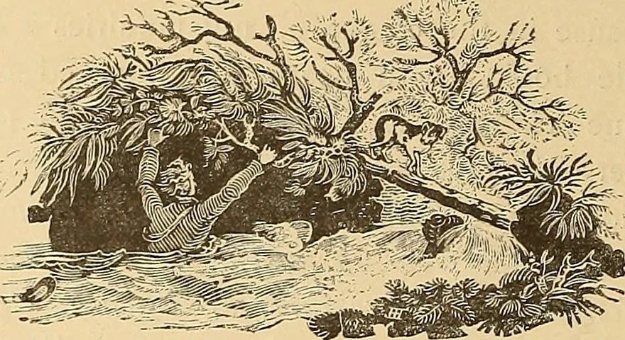 An illustration from American art and American art collections; essays on artistic subjects, 1889, leaf 543