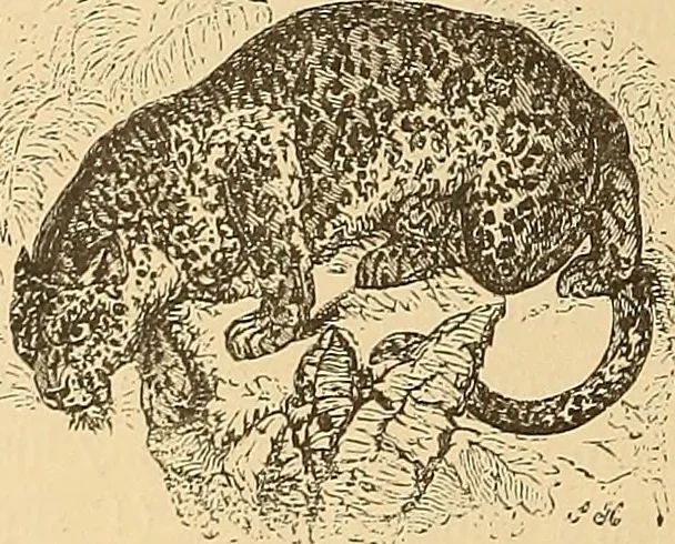 An illustration from American art and American art collections; essays on artistic subjects, 1889, leaf 543