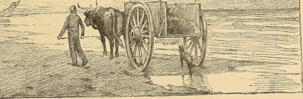 An illustration from American art and American art collections; essays on artistic subjects, 1889, leaf 552