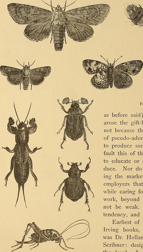 An illustration from American art and American art collections; essays on artistic subjects, 1889, leaf 583