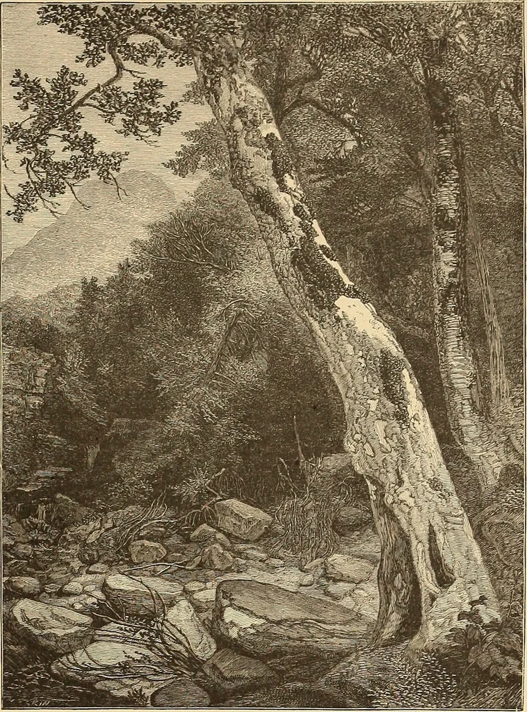 An illustration from American art and American art collections; essays on artistic subjects, 1889, leaf 616