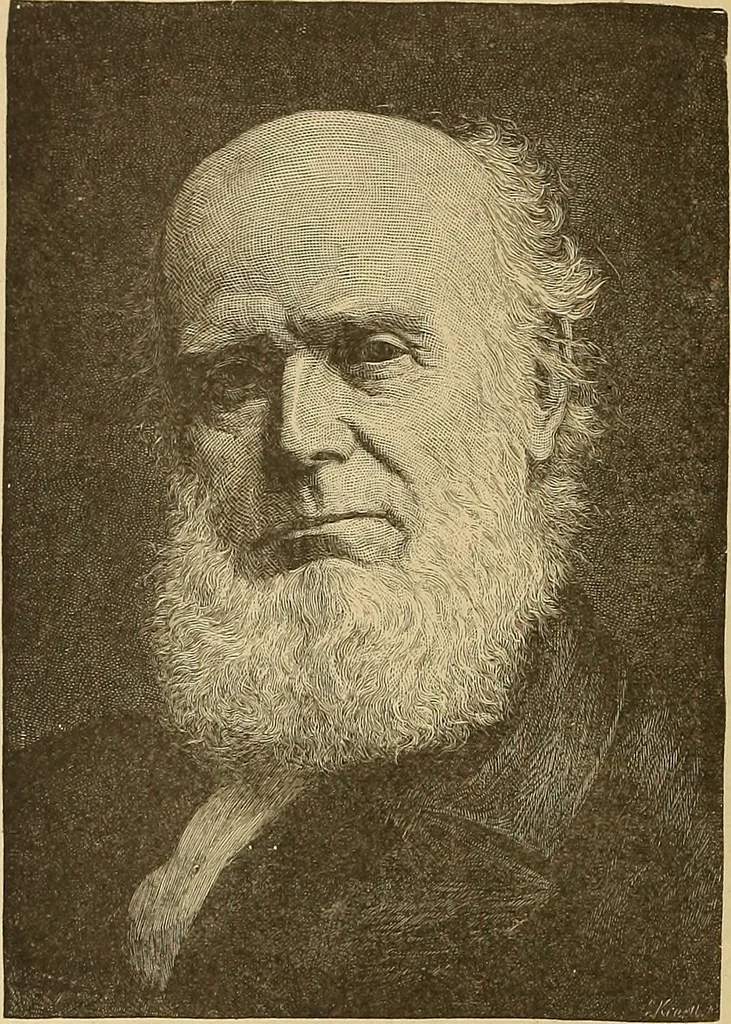 An illustration from American art and American art collections; essays on artistic subjects, 1889, leaf 635