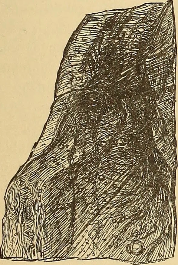 An illustration from American art and American art collections; essays on artistic subjects, 1889, leaf 102