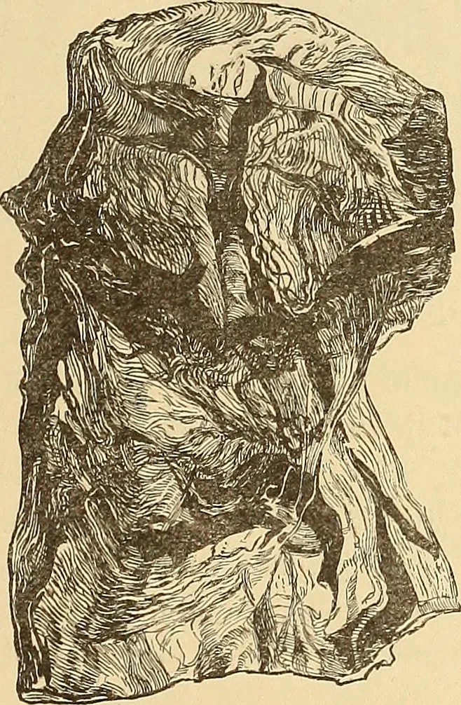 An illustration from American art and American art collections; essays on artistic subjects, 1889, leaf 102