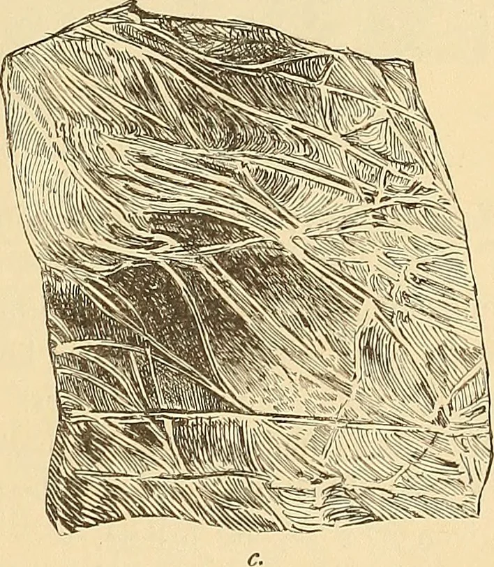 An illustration from American art and American art collections; essays on artistic subjects, 1889, leaf 102